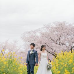 桜サンプル写真